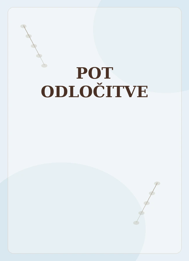 Pot odločitve